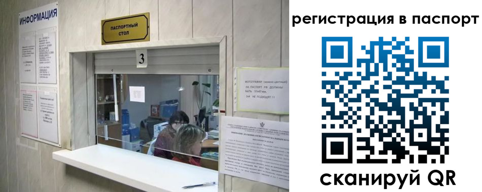 прописка поиск в Ковдоре